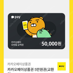 카카오페이 상품권 5만원권 2장