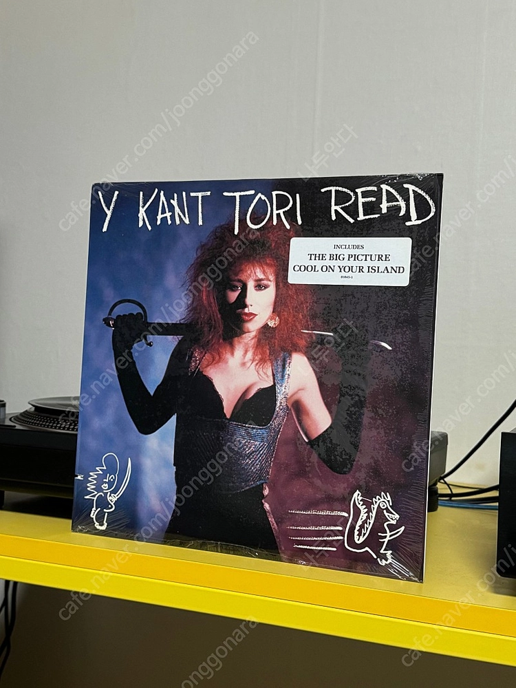 [Alternative Rock] Y Kant Tori Read (와이 칸트 토리 리드) LP 판매해요 이미지