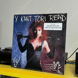 [Alternative Rock] Y Kant Tori Read (와이 칸트 토리 리드) LP 판매해요 이미지