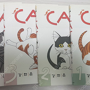 강현준 CAT 캣