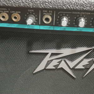 Peavey 피베이 스피커 kb60 팝니다100v..신디사이저 스피커