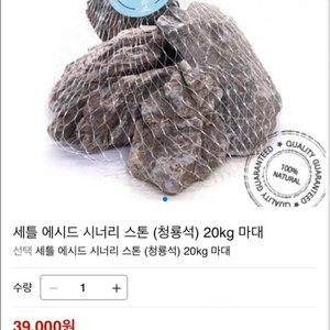 세틀 에시드 시너리 스톤 (청룡석) 20kg / 테라리움, 비바리움