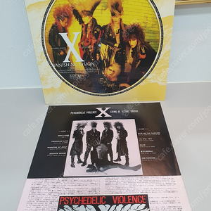 5천장 희귀본 엑스재팬 X Japan "Vanishing Vision"LP 픽쳐판 S급 Extasy Records