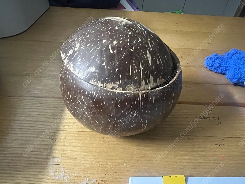 코코넛카운터 소꿉놀이 역할놀이 주방놀이 수세기 교구