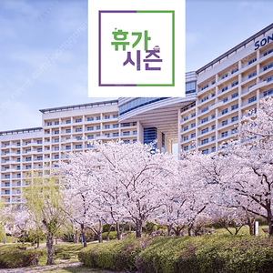 (3/23 토) 비발디파크/ 소노벨 변산,경주/ 소노캄 거제/ 델피노