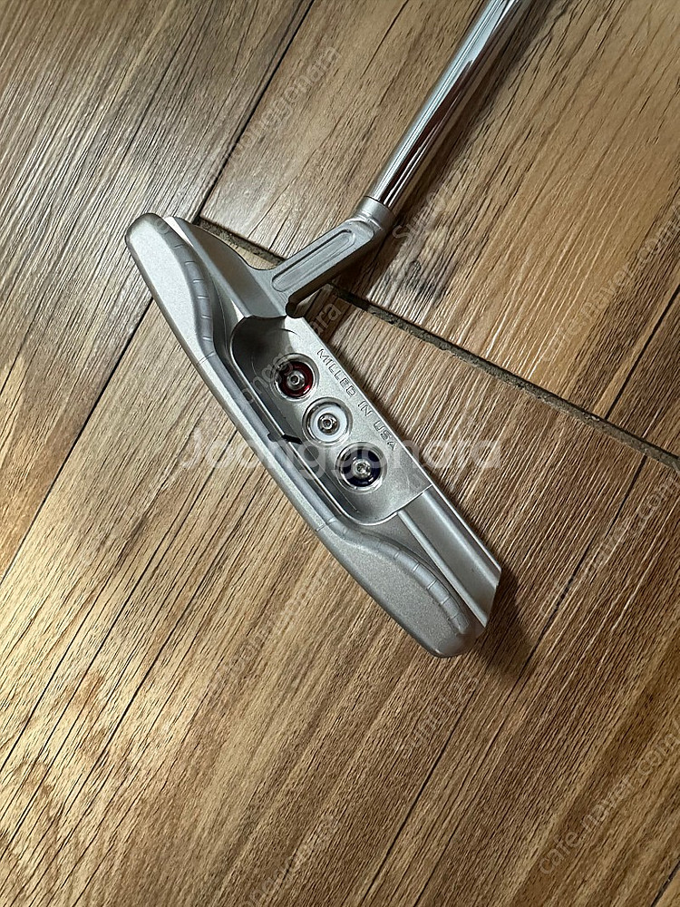 2023 챔피온스 초이스 뉴포트 플러스 1.5 34인치--6