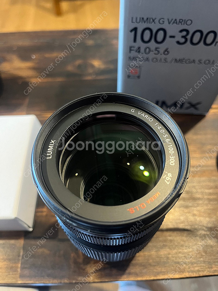 루믹스 100-300 mm 렌즈--1
