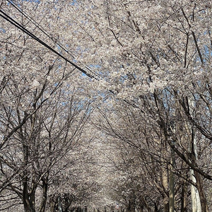 게이밍 본체 팔아요