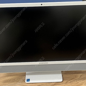 삼성 올인원 PC DM530ADA-LC34W/24인치/29만원