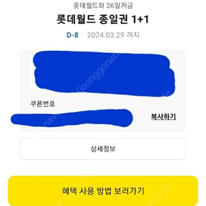 롯데월드 종일권 1+1