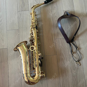 자이언트 알토 색소폰 GIANT ALTO SAXOPHONE