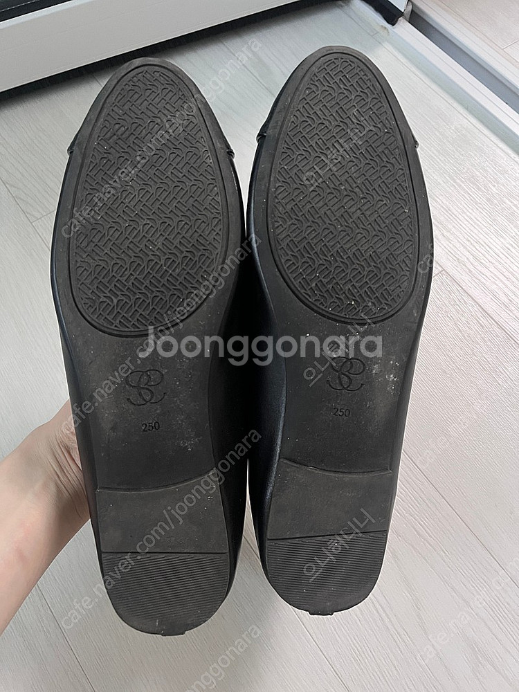시에 sie 벨라리본플랫 블랙 택포--6
