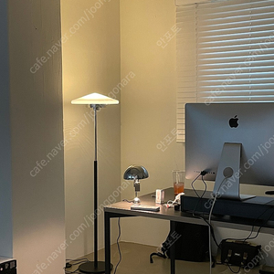 잭슨카멜레온 Cone Floor Lamp 조명 판매합니다.