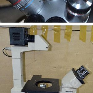 도립현미경 Olympus IMT-2 Microscope