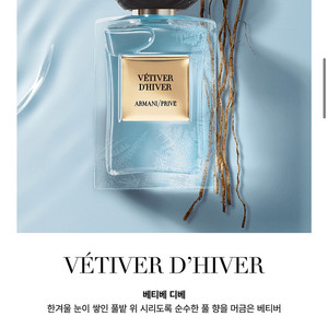 알마니 베티베 디베 100ml