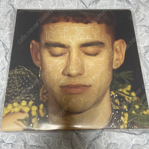 years & years 이어스앤이어스 년앤년 lp