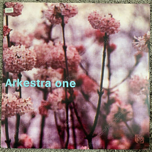 Arkestra One LP (장르:Electronic 스타일:Downtempo, Leftfield, Future Jazz)