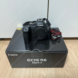 canon 캐논 카메라 미러리스 바디 r6mark2 r