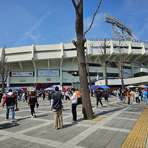 엘지 한화 3월23일 경기 1자리사봐요