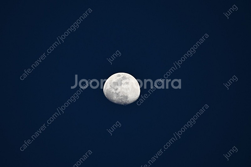 시그마 100-400 보증 유(소니FE)--6