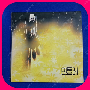 민들레초판 LP NM/NM