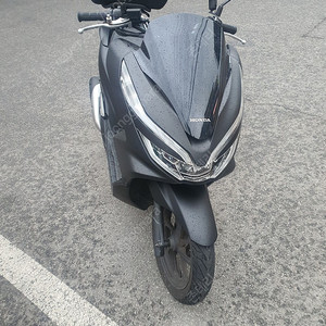 Pcx125 19년식 팝니다