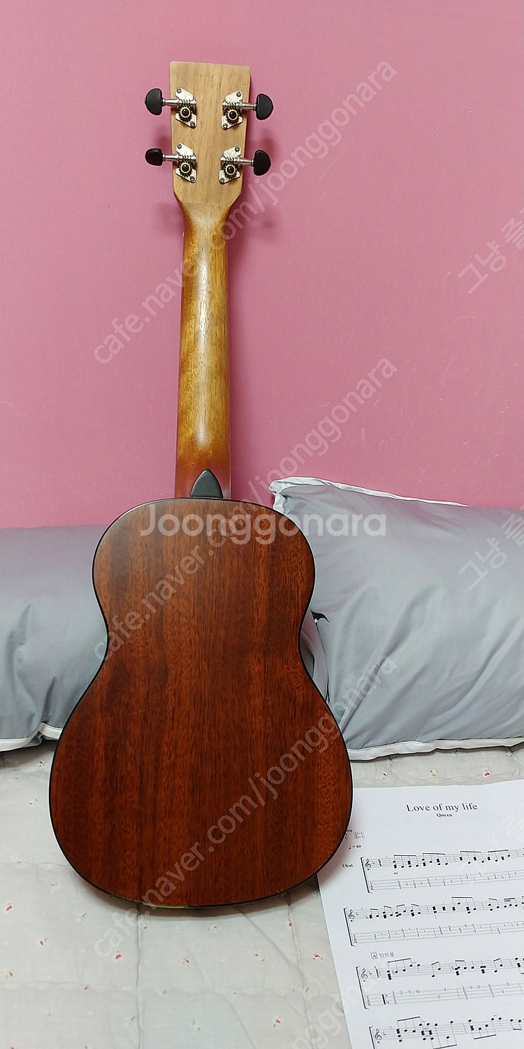 꿈 무쿨렐레 마루 판매--4