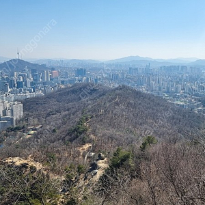 컴포즈커피 아메리카노 (테이크아웃, 핫/아이스 한개씩)