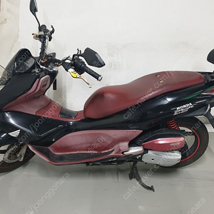 2013년 PCX