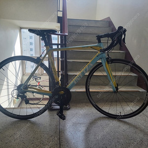 (부산) 인피자 메티스105 로드자전거 판매
