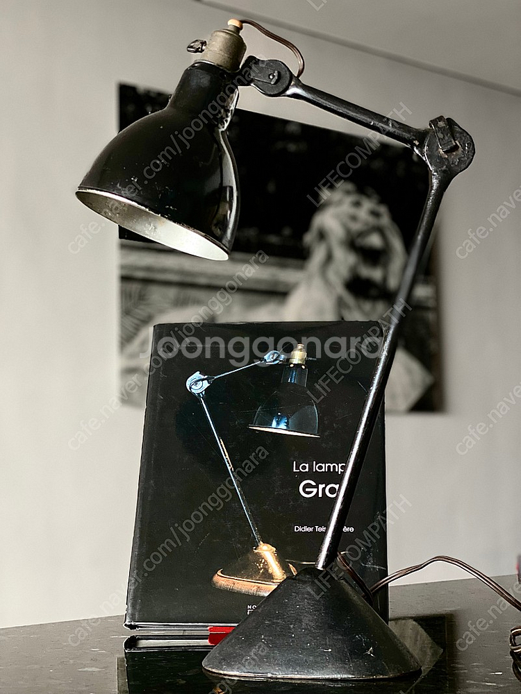 프랑스 빈티지 그라 램프 La Lampe GRAS 오리...--0