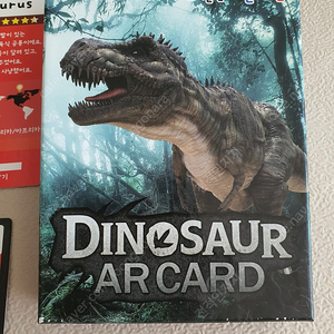 아들과딸 공룡 카드 AR