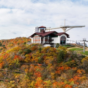 ​​용평리조트~3월4월숙박~8만부터~발왕산케이블카~딥다이브~조식부페