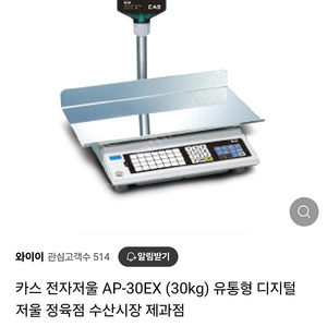 카스저울30키로