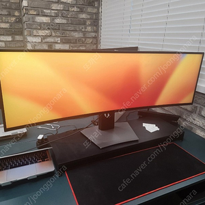 델 49인치 DELL u4919dw