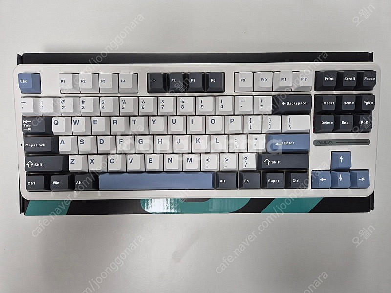 aula f87 pro 황축(독거미 키보드)--0