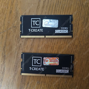 TeamGroup T-CREATE 노트북 DDR5-5600 CL46-45-45 CLASSIC 서린 (32GB) 2개