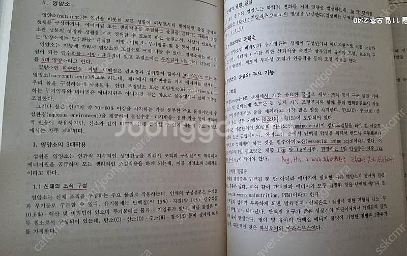 공중보건학--6