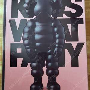 카우스 왓파티(KAWS WHAT PARTY) 블랙 온 핑크 에디션