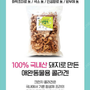 테비사사미 돈짱구 1kg