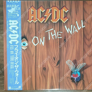 헤비메탈 lp, AC/DC , Fly on the wall