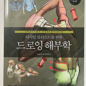 디지털 일러스트를 위한 드로잉 해부학