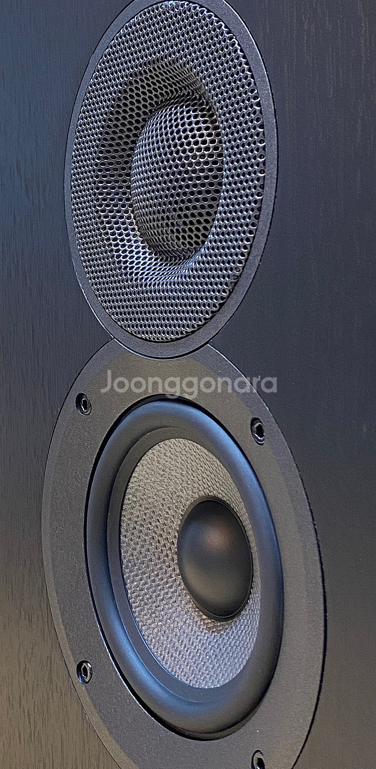 Elac Debut 2 OW4.2 by Andrew J...--5