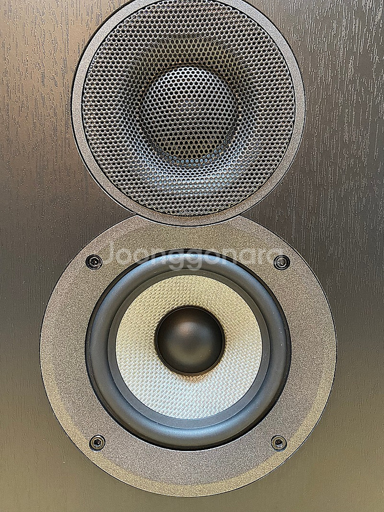 Elac Debut 2 OW4.2 by Andrew J...--6