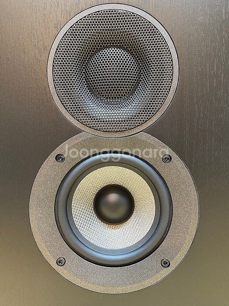 Elac Debut 2 OW4.2 by Andrew J...--7