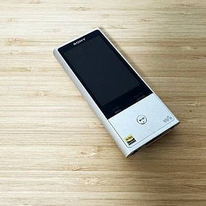 소니 DAP NW-ZX100