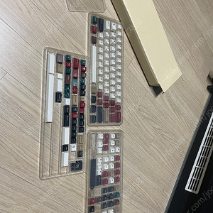 일당오 레믹라 2024