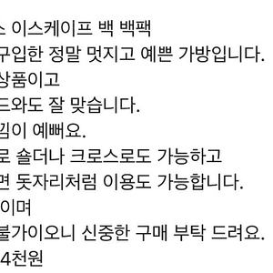 노스페이스 이스케이프 백 백팩