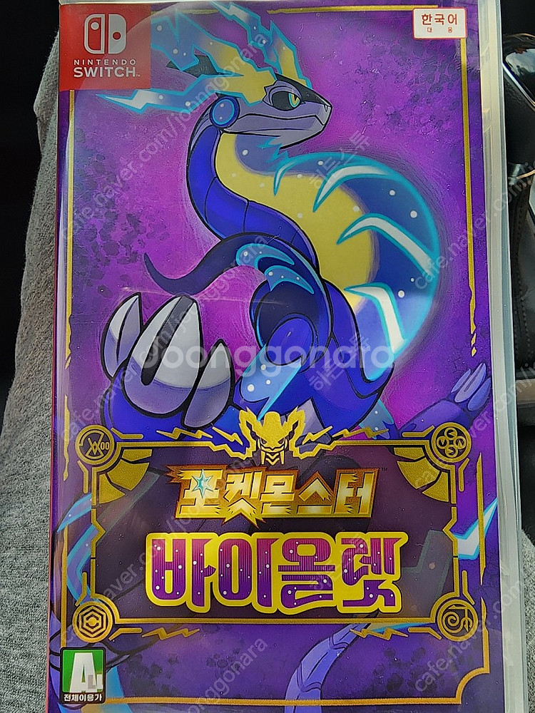 포켓몬 바이올렛 타이틀--0