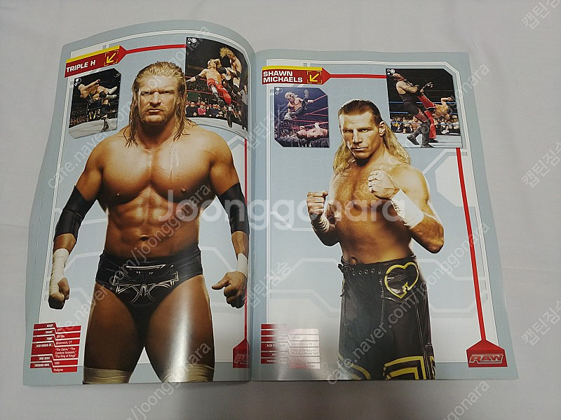 WWE 선수 프로필 책 팝니다--3